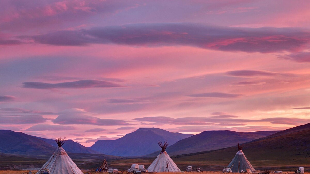    Фото: Shchipkova Elena / Shutterstock / Fotodom