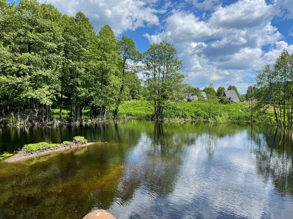 Автор фото: dikayaferma.ru