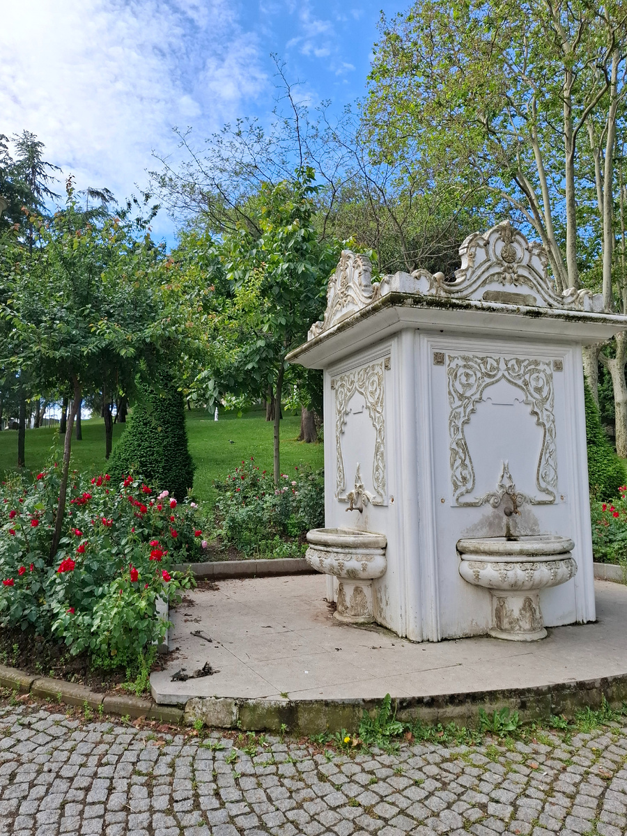 Прекрасный парк Гюльхане в Стамбуле - бывшие сады дворца Топкапы. До него - пара минут от стоянки лайнера Астория Гранде.