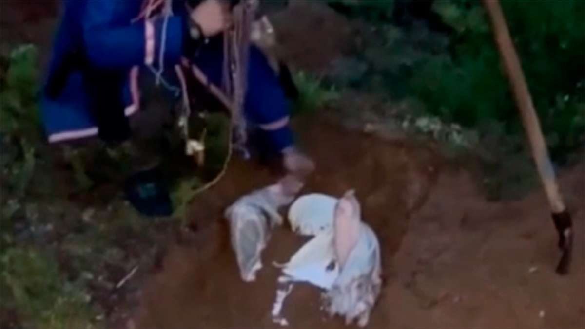   Кадр из оперативной съемки