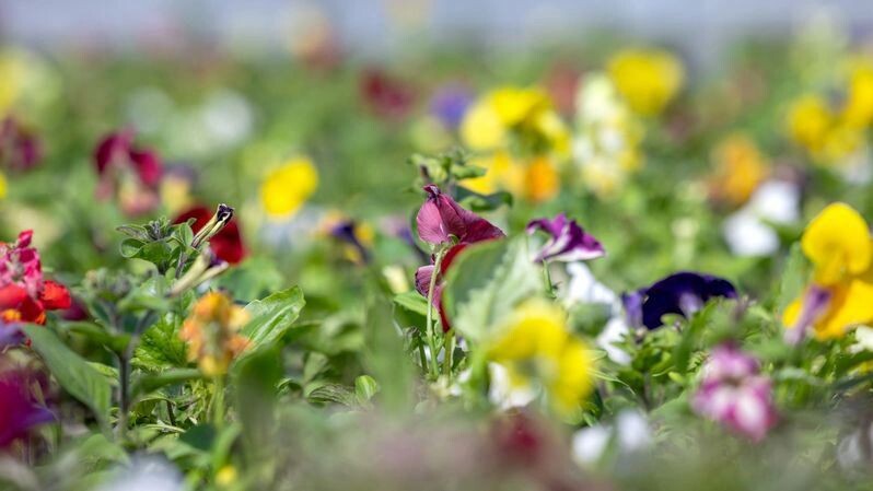    Фото: Федор Воронов / «Ямал-Медиа»