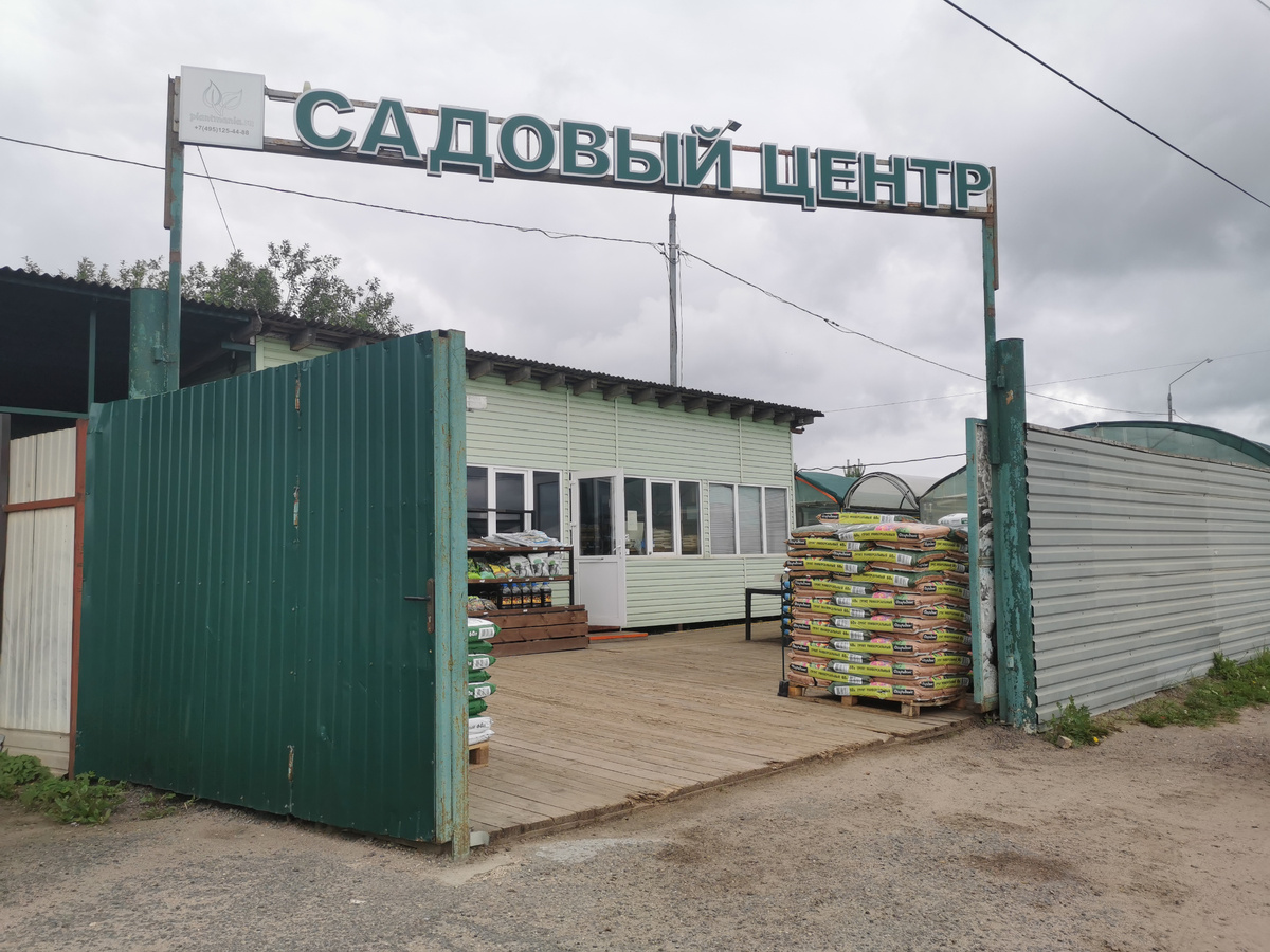 Plantmania и тучки