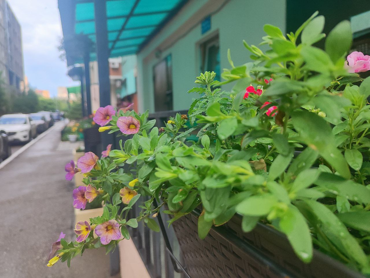 Фото автора.