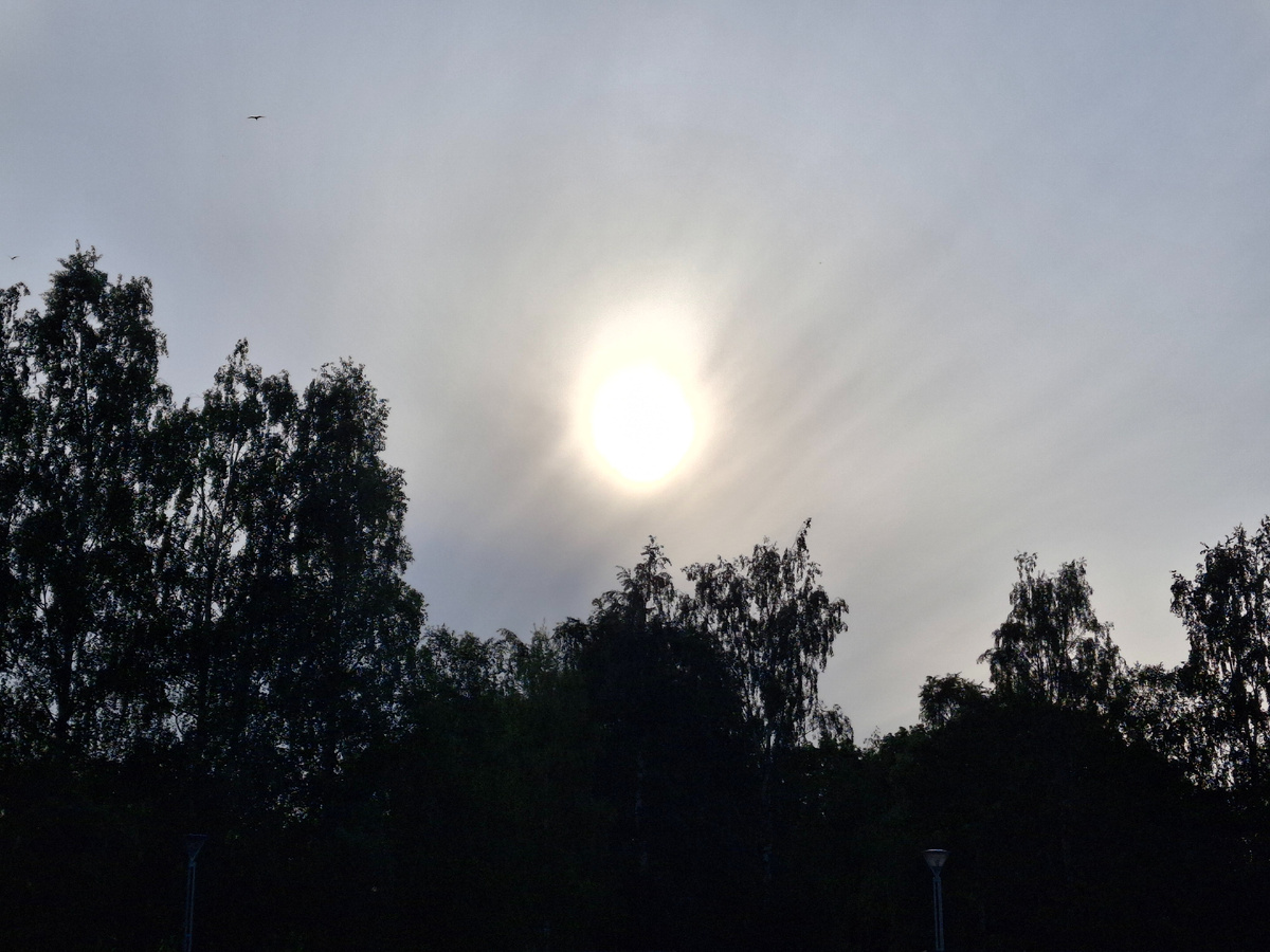 Это солнышко поймано в кадр в День летнего солнцестояния!