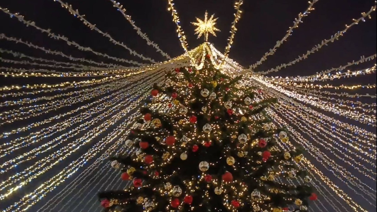    Фото: Открытый источник