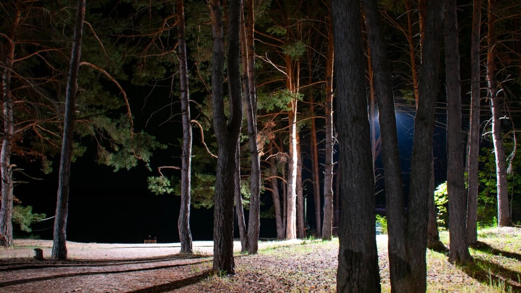    Svetlana Vozmilova/Globallookpress