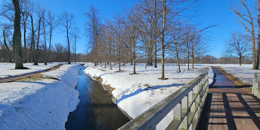 Общие интересы в одной семье