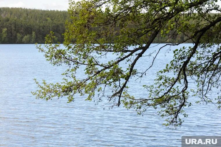 Курганцы не могут попасть на Митинское водохранилище. Фото: Вадим Ахметов © URA.RU