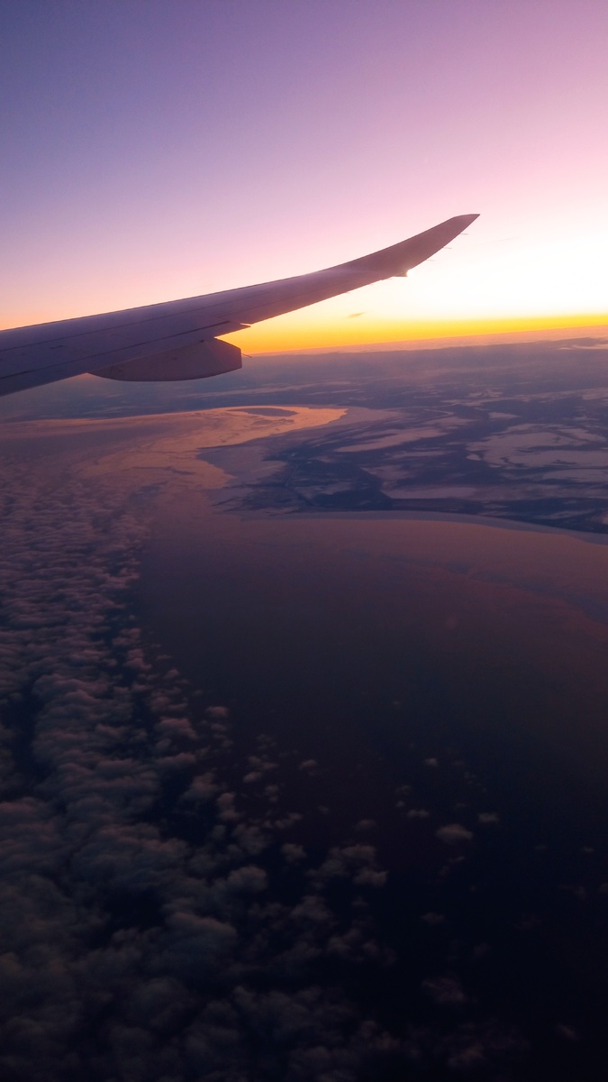 Тундра под крылом