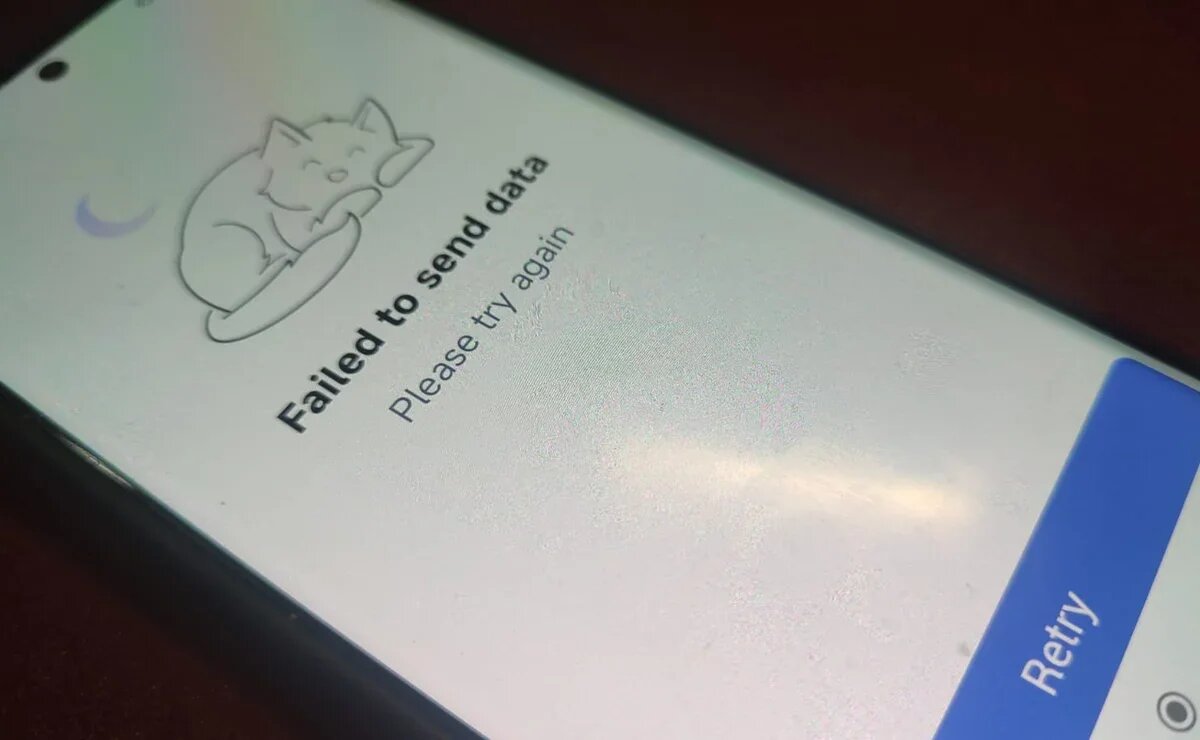    QR-коды для иностранцев на границе России: день X близок, а Timatic неумолим