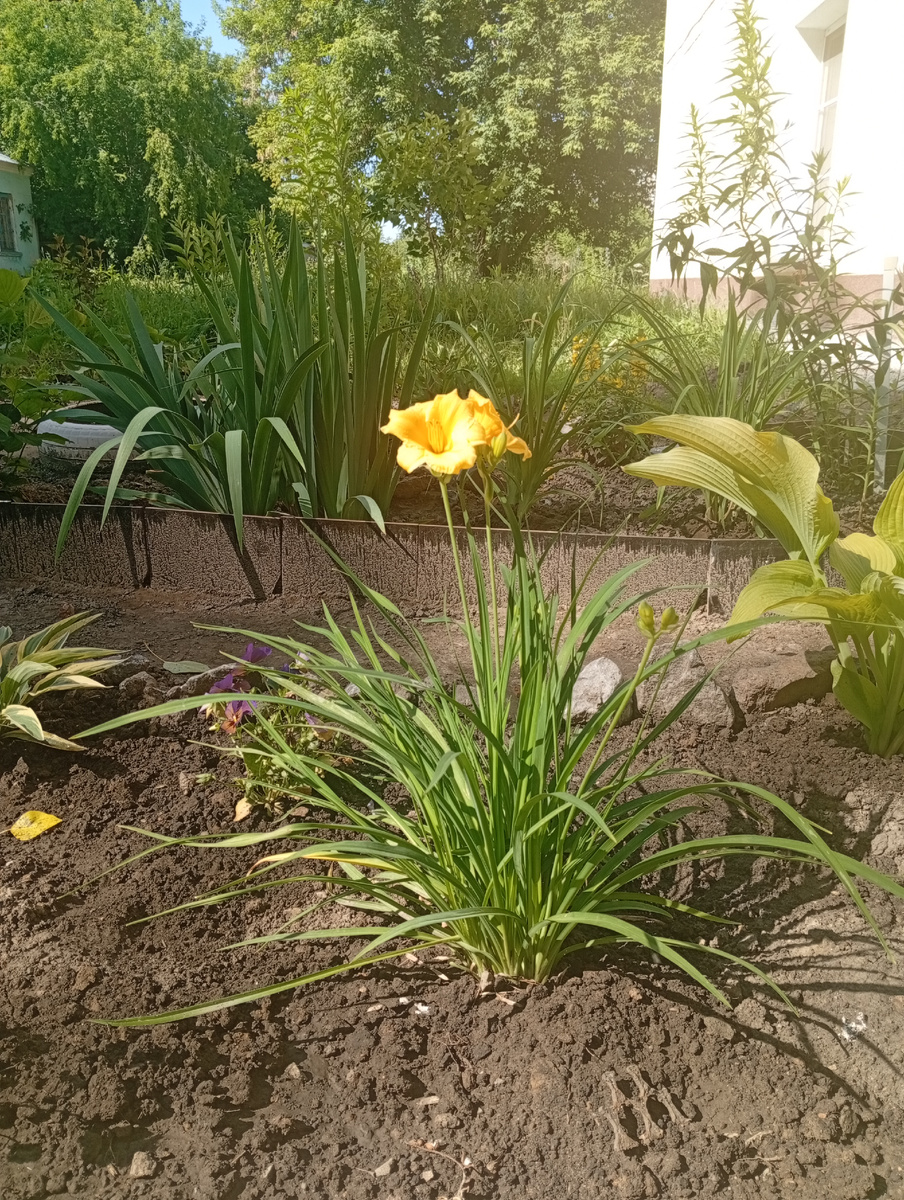 С немного другого ракурса который не моим фотопрофессионализмом выбран, а насколько собачий поводок ,намотанный на руку ,позволил быстренько щёлкнуть кадр.