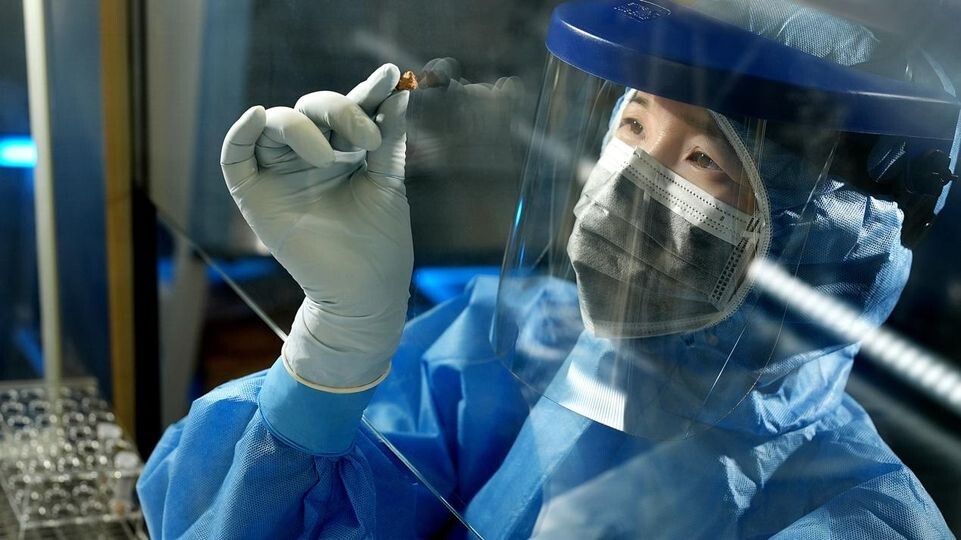    CAS/Handout via Xinhua / www.globallookpress.com