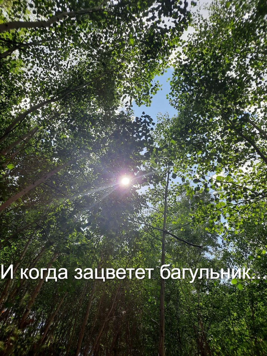 Фото автора.