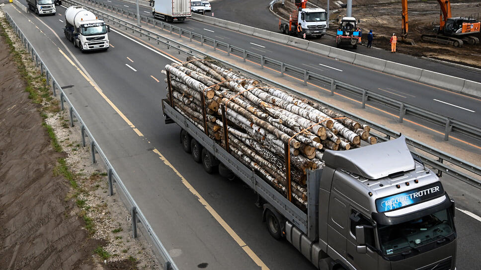 Фото: Анатолий Жданов / Коммерсантъ
