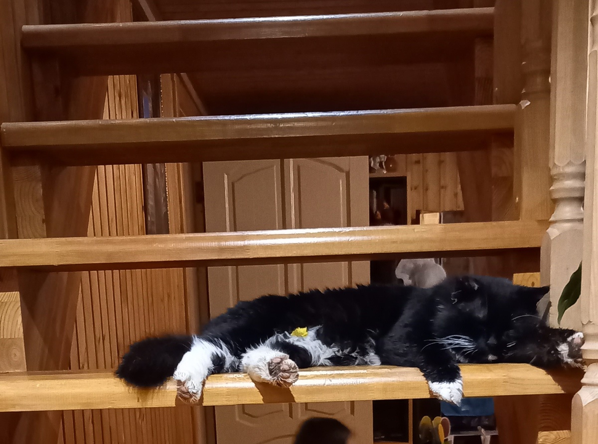 Фото автора