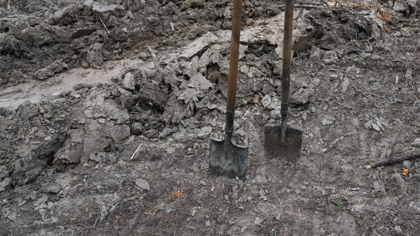    Фото: ИЗВЕСТИЯ/Дмитрий Коротаев