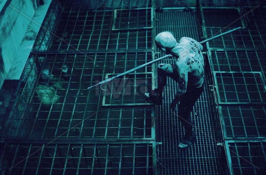 С просторов интернета