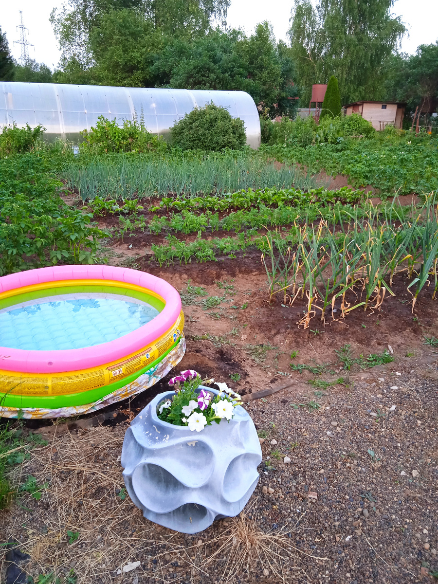 Дача - свежий воздух для детей