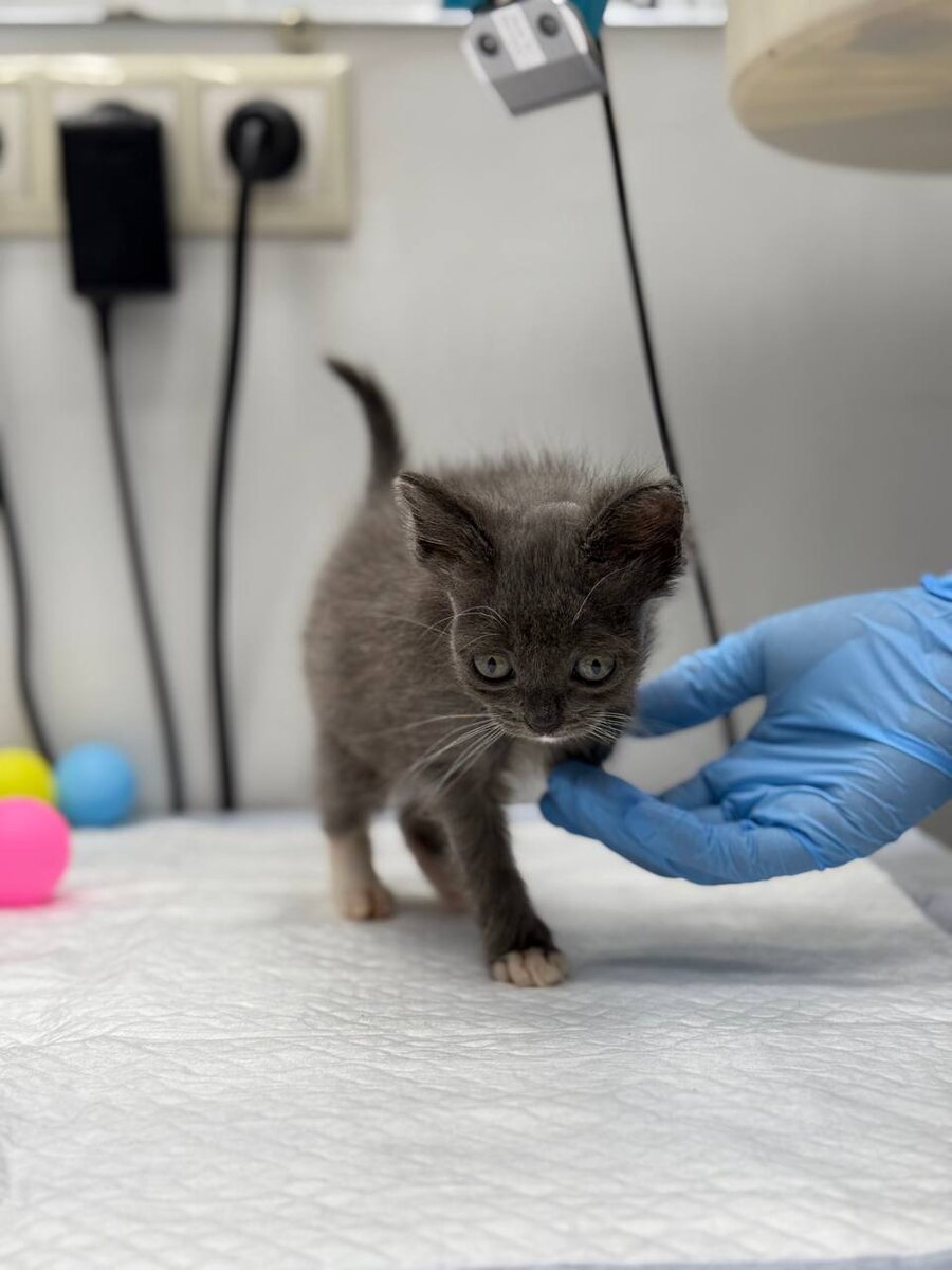 Малышок❤️