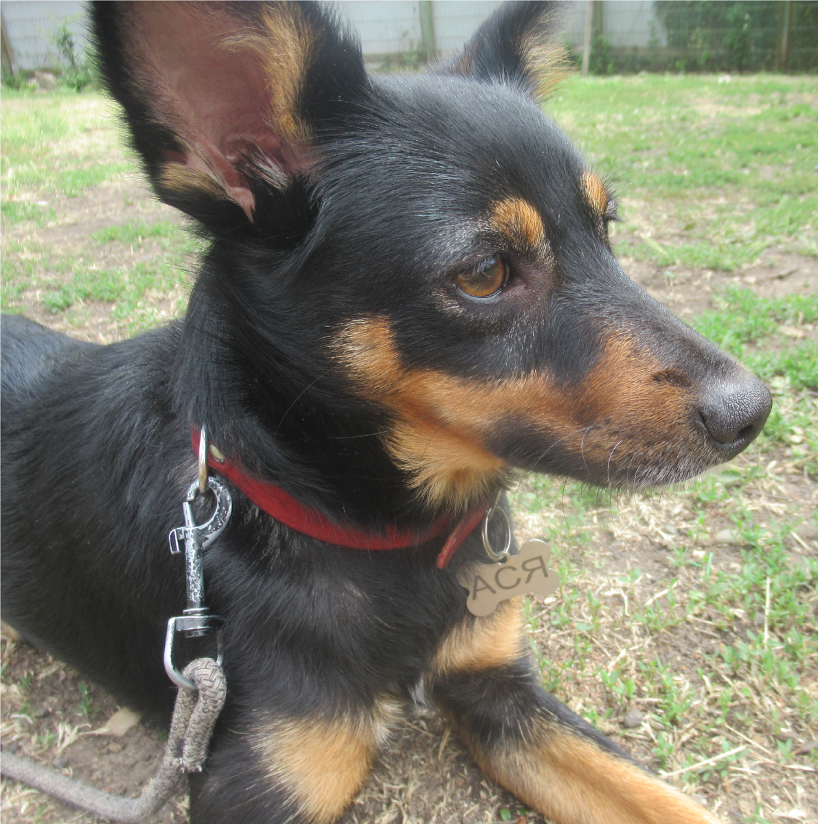 Милая правда?