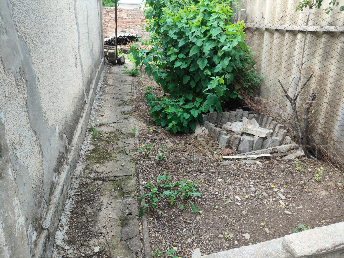 Территория за домом.