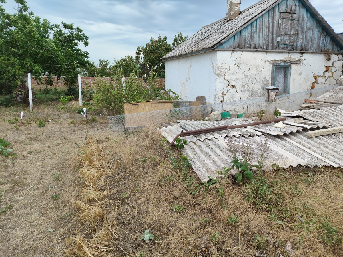 Вон там, за крышей погреба, клетка стоит.