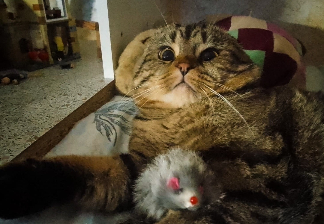 Нет! Ну вы представляете, что творится!