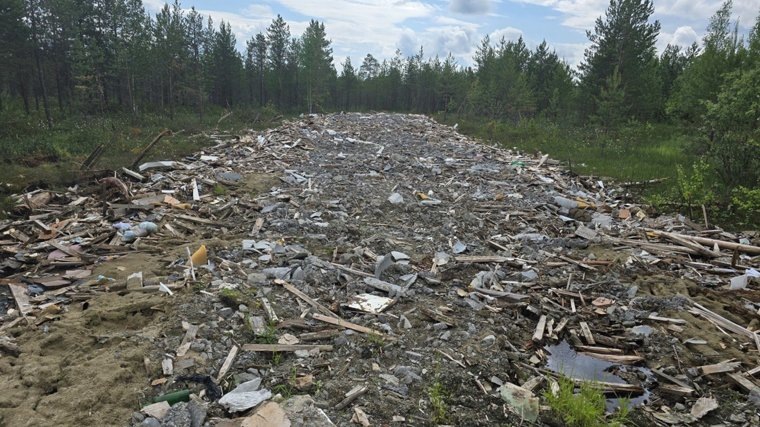 Дачники говорят, что мусор привезли под отсыпку дороги
Фото:Владимир Зиновьев