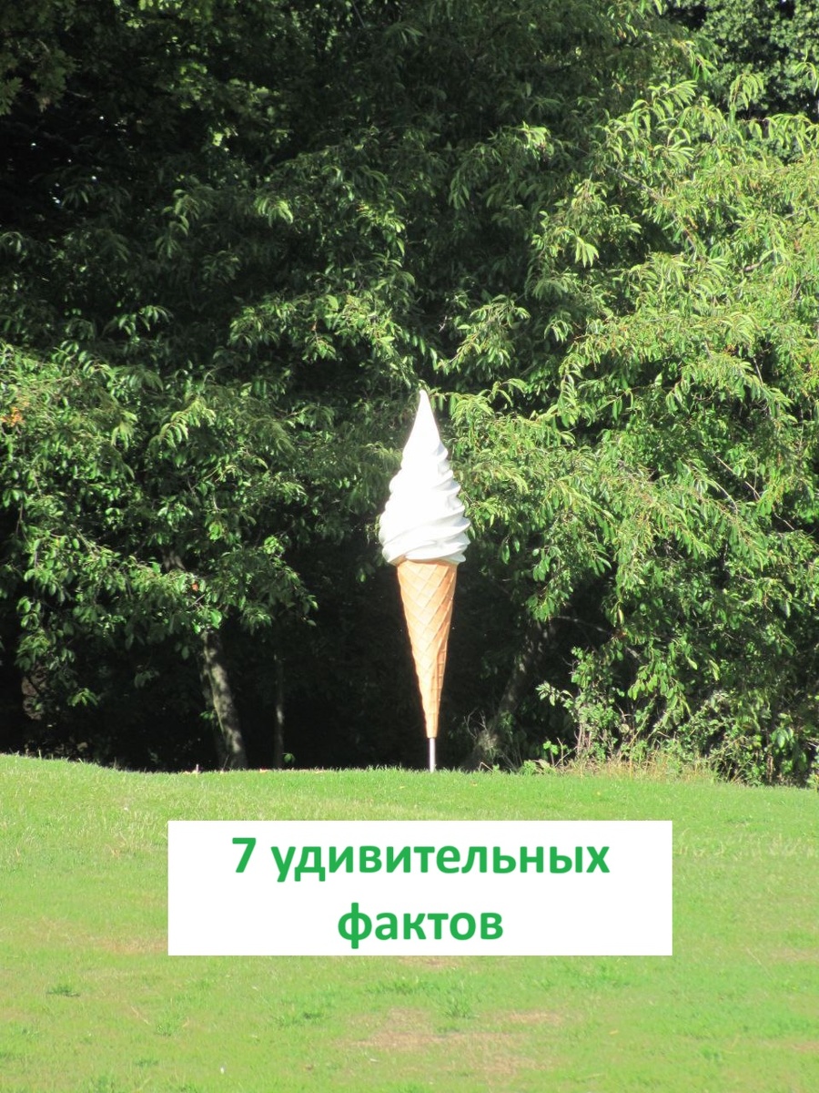 7 удивительных фактов - Евгения Бровкина | Блогер 60+