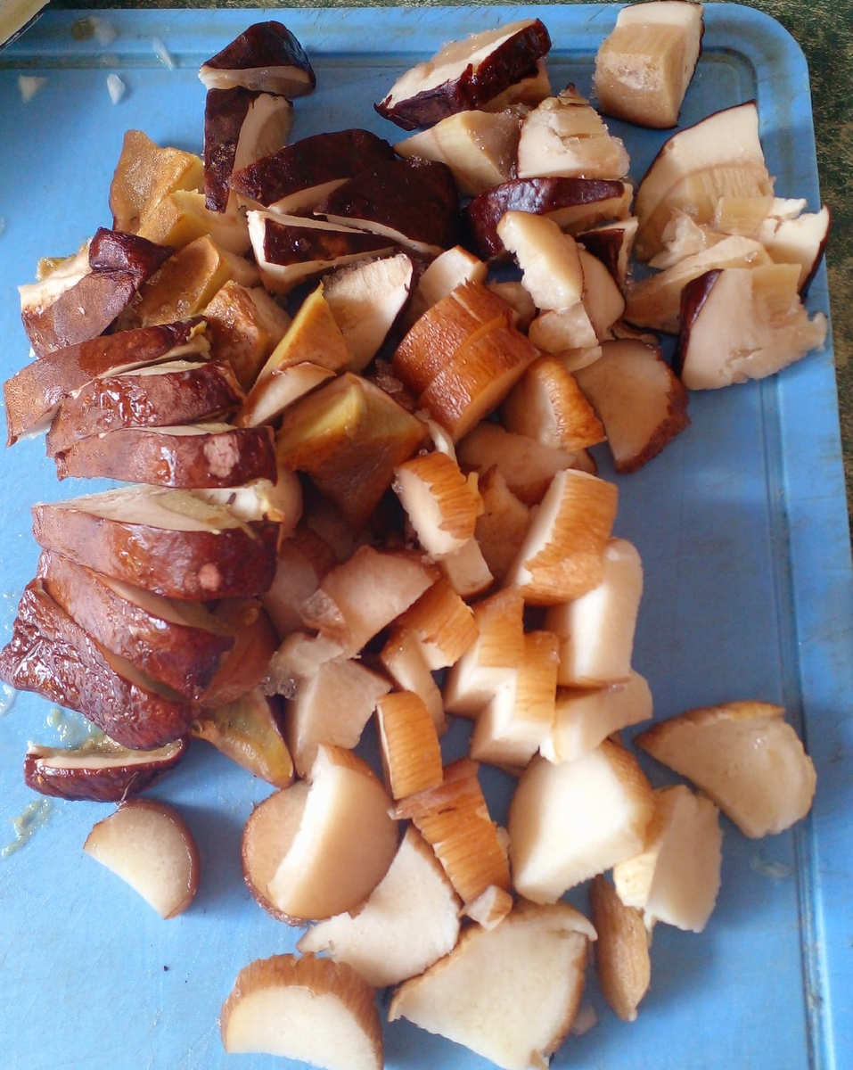 Нашинкованые белые грибы (собраные в лесу)