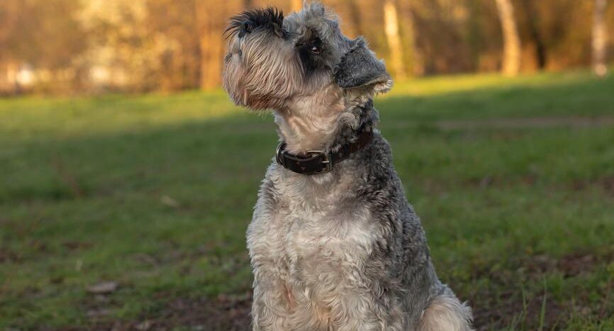    Михаил Яковлев / Фотобанк Лори