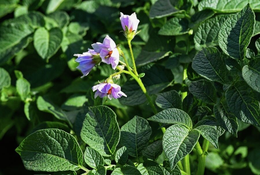     / Источник: © Илья Наймушин