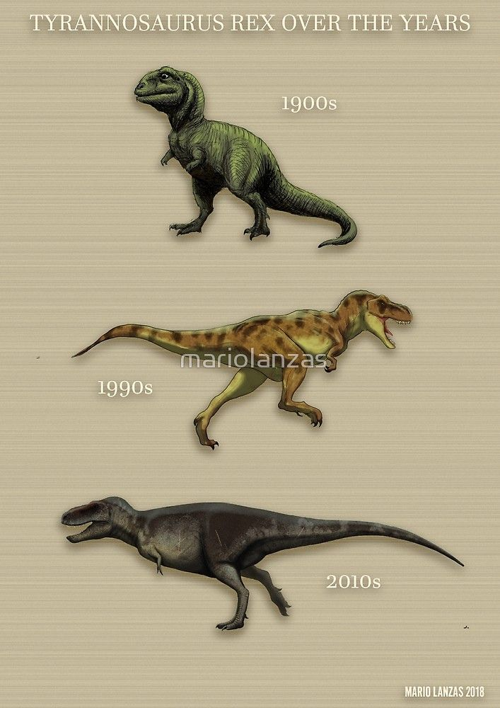 эти животные похожи на разные виды просто похожие а не реконструкцию одного