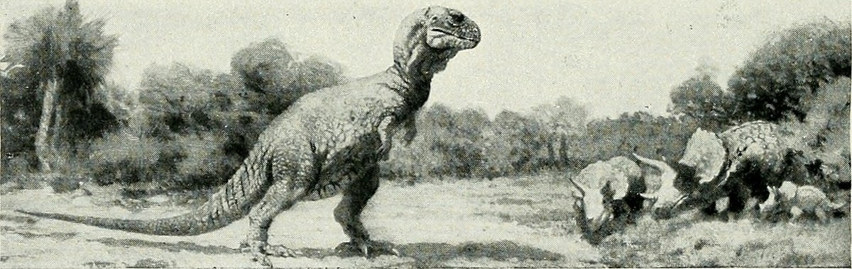 ква-ква! трицератопсы бегите (тем временем трицератопсы не бегут а смеютя и ржут)