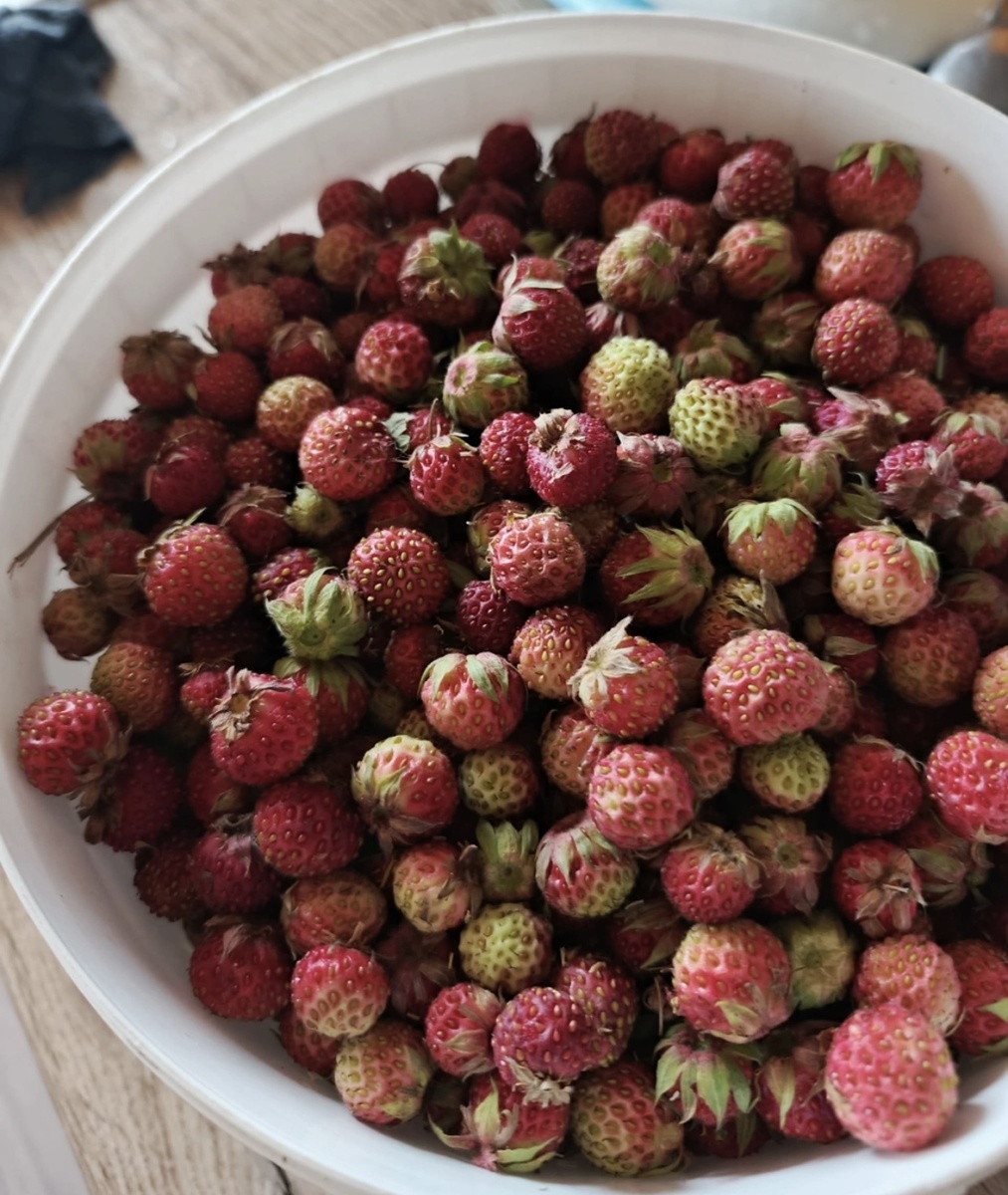 Прошлогодняя покупка))