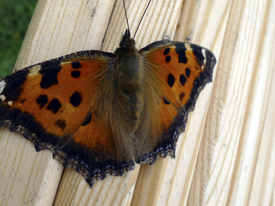 Фото: Геннадий Черкасов.