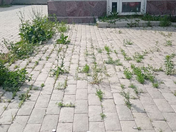    Фото: Пруфы.рф