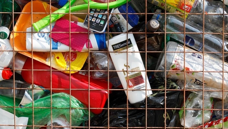      Фото: Эдуард Корниенко / / ИА «Победа26»