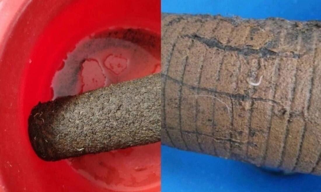     Источник: КП-Новосибирск