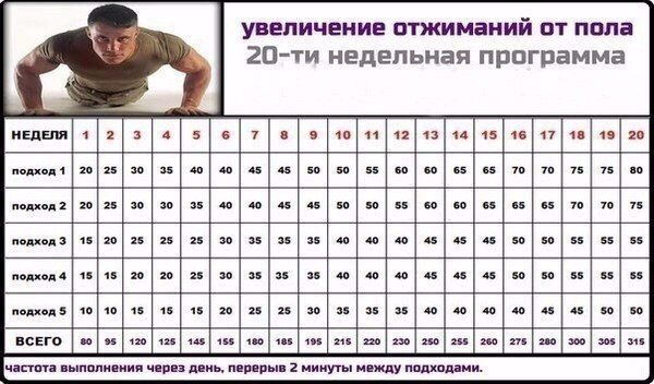 Одна из тех программ, по которым я занимался 12 лет назад.