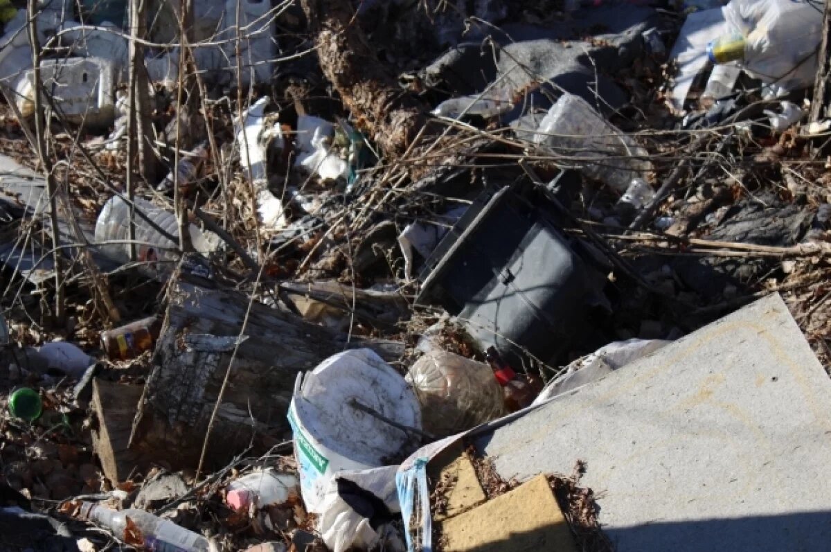    Тамбовцы нашли две незаконные свалки на окраине посёлка Мучкапский