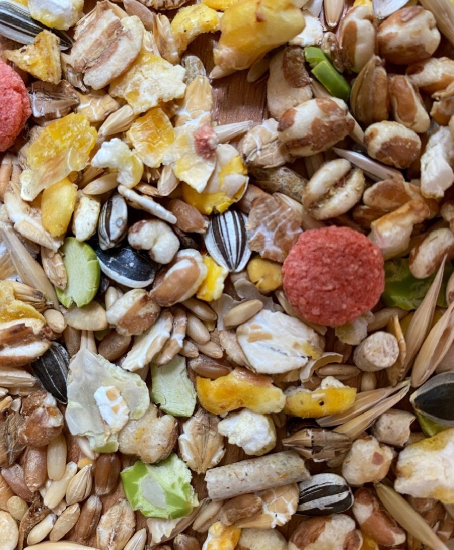 Свежий сбалансированный корм - залог здоровья вашего питомца