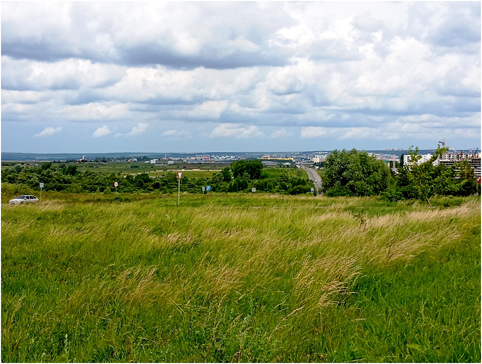 Вид с Божьей горы на село Засечное и деревню Куриловка (справа). Вдали видна Пенза.
