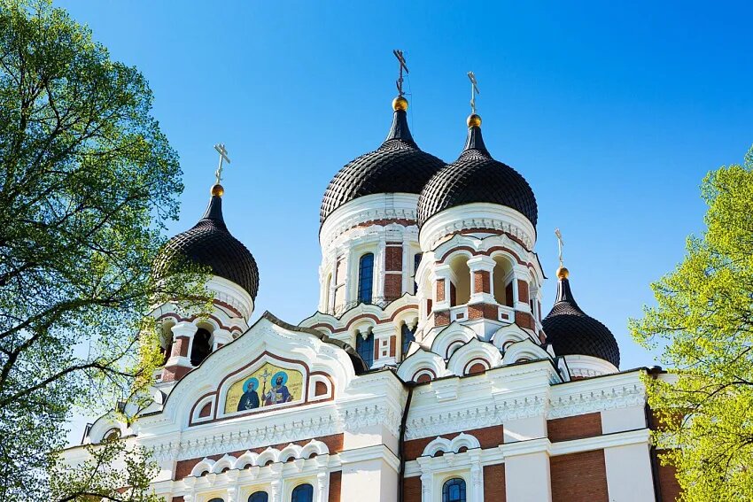 Фото: Пресс-служба ЭПХЦ