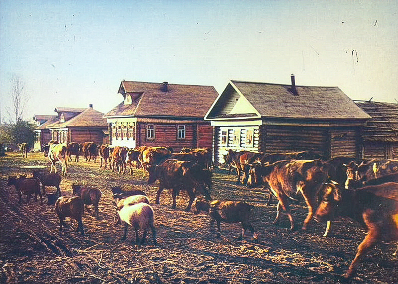 Деревня в 1970-е годы. Фото: из открытых источников