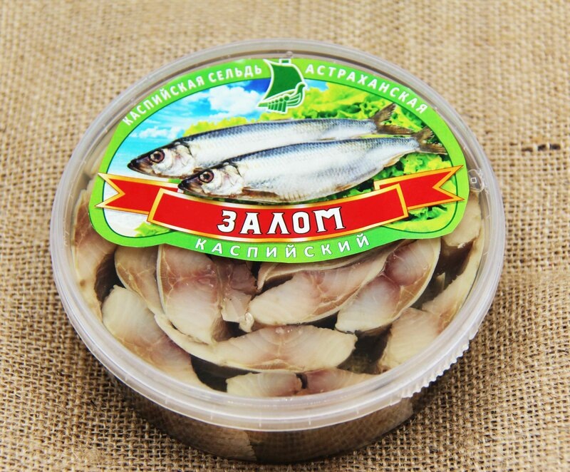 Рыба залом
