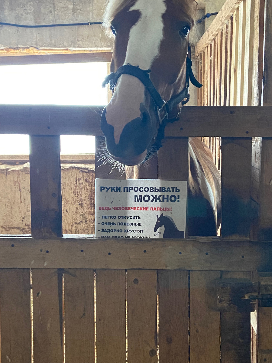 Зато какая оригинальная табличка