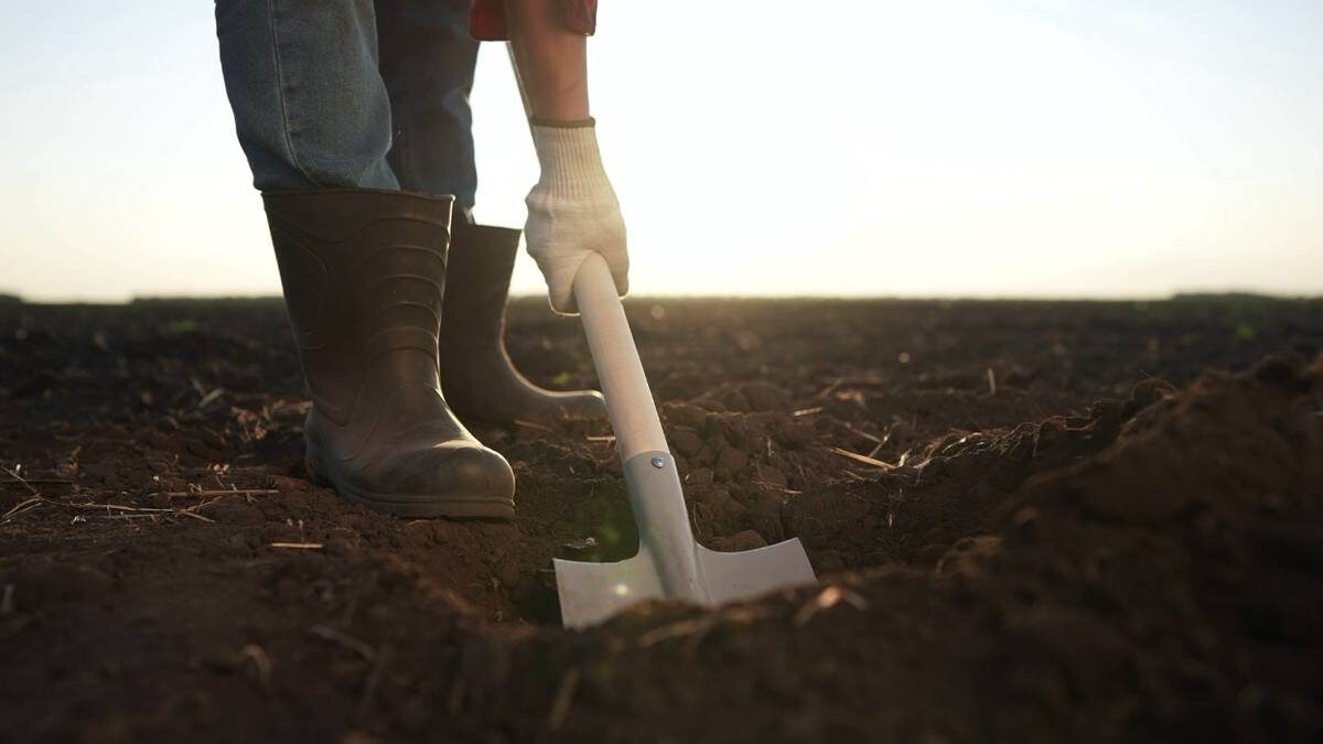    Фото: Shutterstock