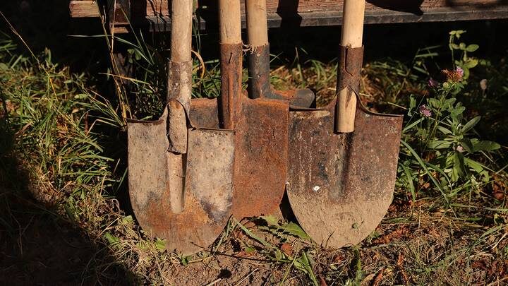  Фото: Анатолий Цымбалюк / Вечерняя Москва