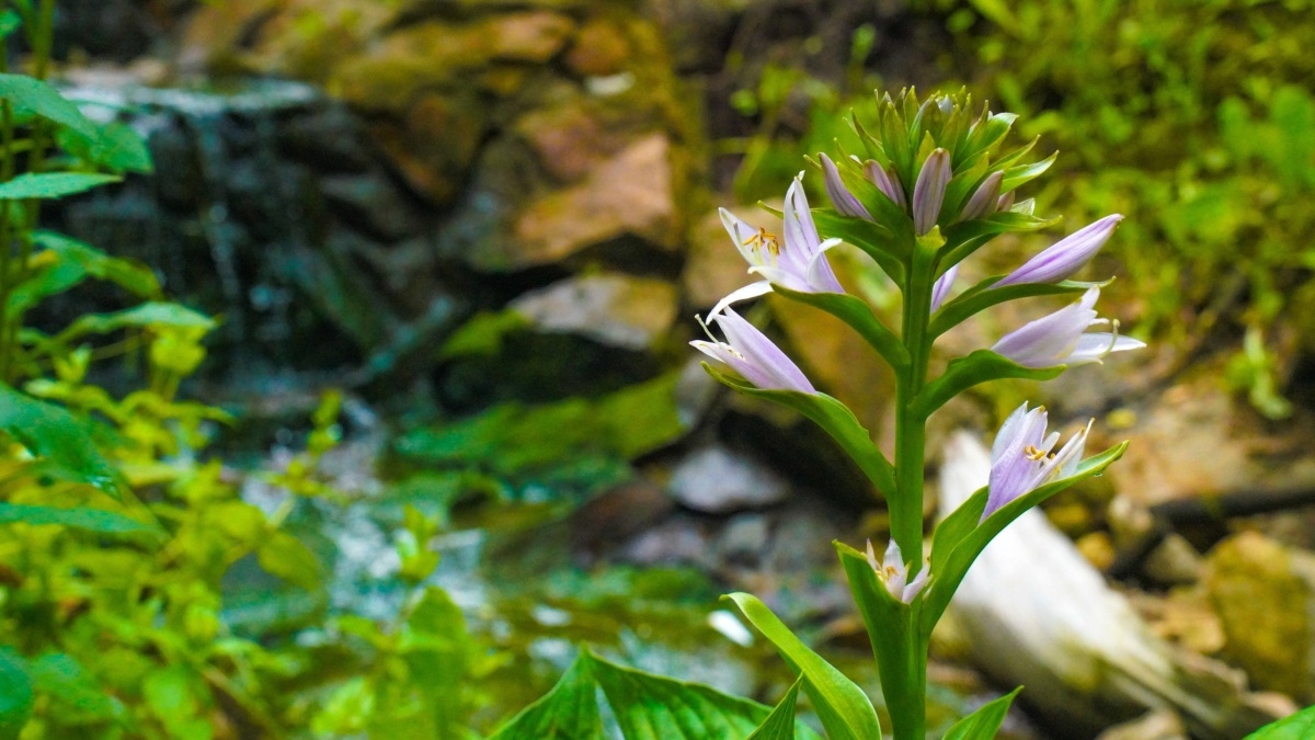 Светлана Мулыкина📷
